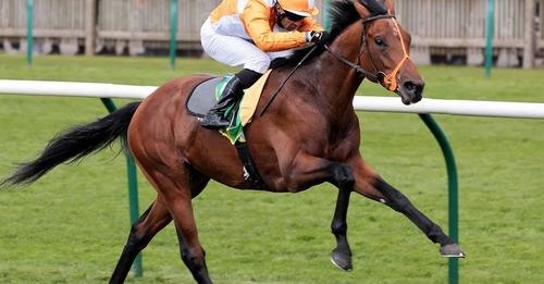 Jayarebe Death, Obituary: British Royal Ascot winner collapses and dies after finishing seventh in Breeders’ Cup Turf